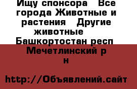 Ищу спонсора - Все города Животные и растения » Другие животные   . Башкортостан респ.,Мечетлинский р-н